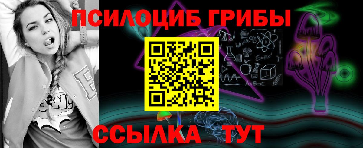 Галлюциногенные грибы GOLDEN TEACHER  Вход с VPN  Новодвинск 