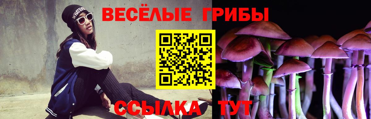 Новодвинск  ГЕРОИН  МАРИХУАНА  COCAIN  МЕТАМФЕТАМИН  Вход с VPN  МЕФ кристаллы  Гашиш 
