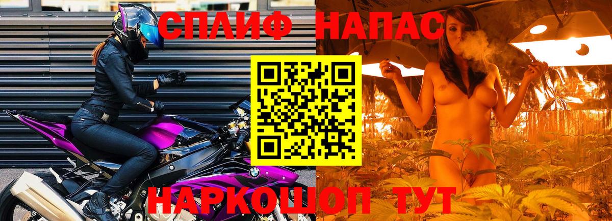Бошки Шишки планчик Новодвинск